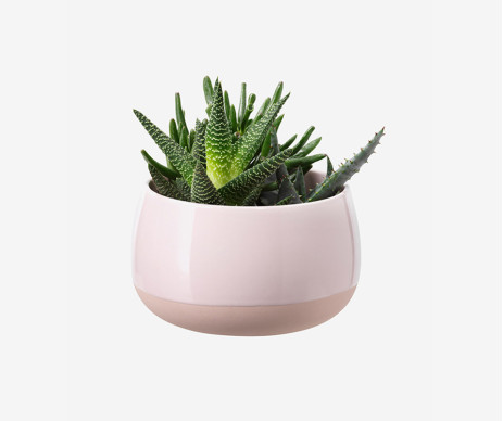 Accusantium Doloremque