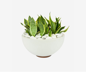 Neque Porro Quisquam