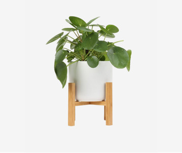 Occasion Praesentium