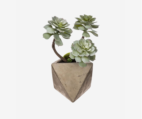 Praesentium Voluptatum