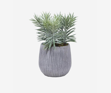 Praesentium Voluptatum